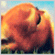 https://upforme.ru/uploads/001b/86/07/2/651072.gif