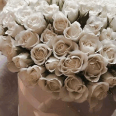 https://upforme.ru/uploads/001b/87/f4/4/t520877.gif