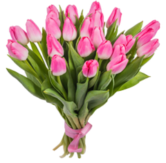 https://upforme.ru/uploads/001b/87/f4/4/t689951.png