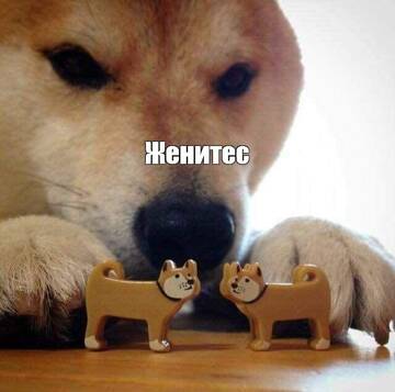 https://upforme.ru/uploads/001b/87/f4/4/t729896.jpg