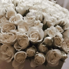 https://upforme.ru/uploads/001b/87/f4/4/t770260.gif