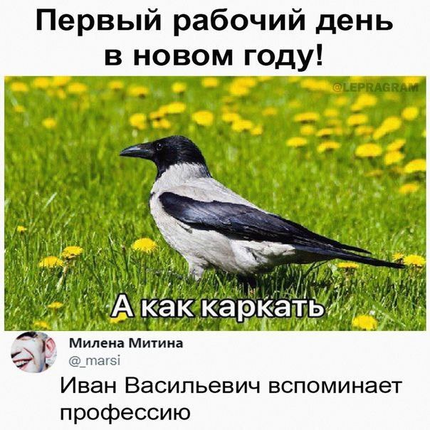https://upforme.ru/uploads/001b/87/f4/58/649320.jpg