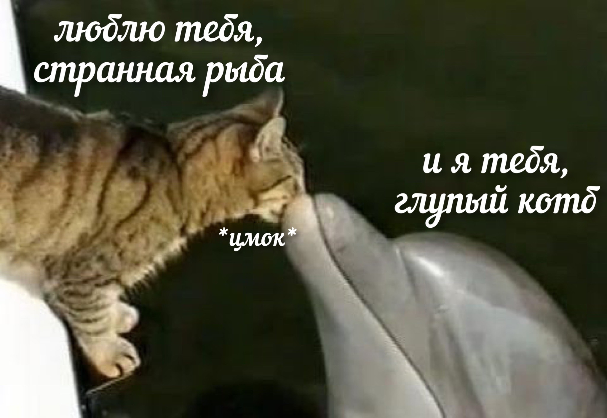 https://upforme.ru/uploads/001b/89/50/2/997018.jpg