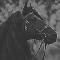https://upforme.ru/uploads/001b/8a/62/361/517481.png