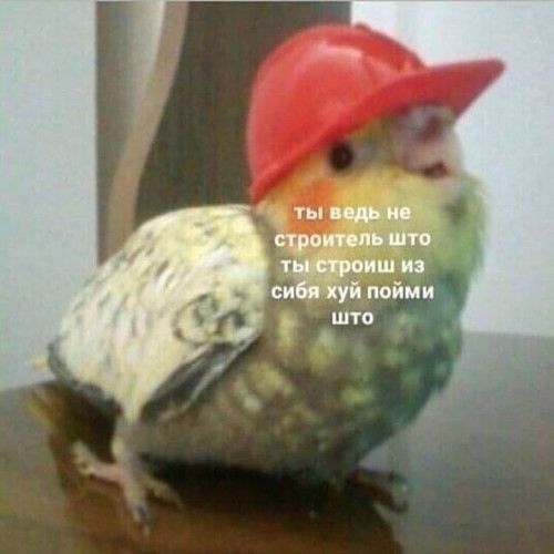 https://upforme.ru/uploads/001b/8c/87/174/610183.jpg