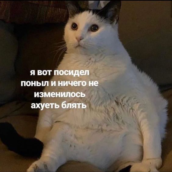 https://upforme.ru/uploads/001b/8c/87/240/28461.jpg