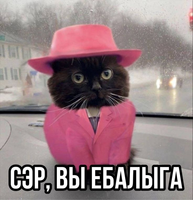 https://upforme.ru/uploads/001b/8c/87/240/642364.jpg