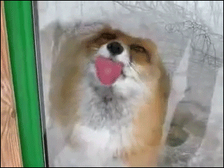 https://upforme.ru/uploads/001b/8c/87/240/707698.gif
