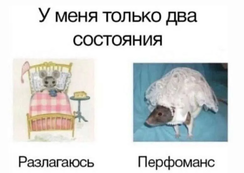 https://upforme.ru/uploads/001b/8c/87/240/72370.png