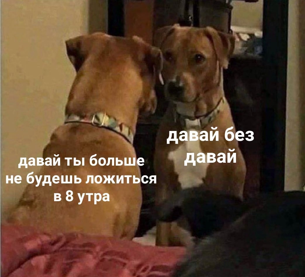 https://upforme.ru/uploads/001b/8c/87/240/788146.jpg