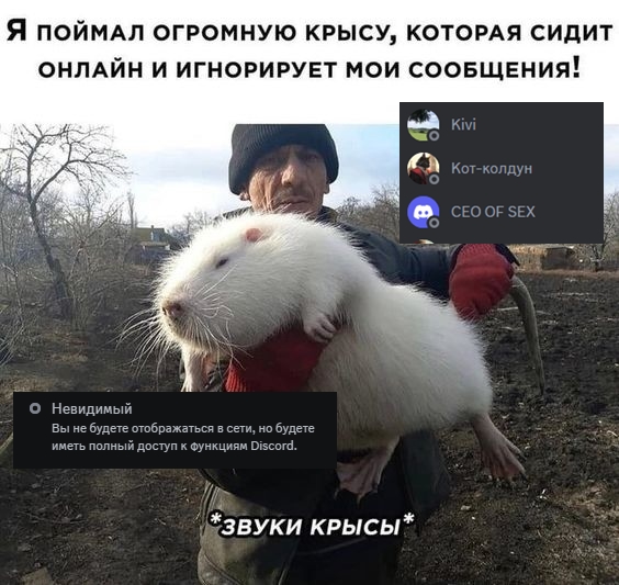 https://upforme.ru/uploads/001b/8c/87/240/841761.jpg