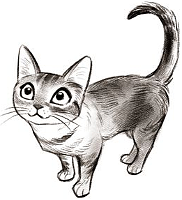 https://upforme.ru/uploads/001b/8c/87/258/56528.png