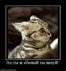 https://upforme.ru/uploads/001b/8c/87/274/t341139.jpg