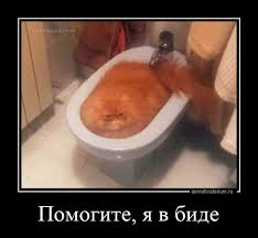https://upforme.ru/uploads/001b/8c/87/275/t425971.jpg
