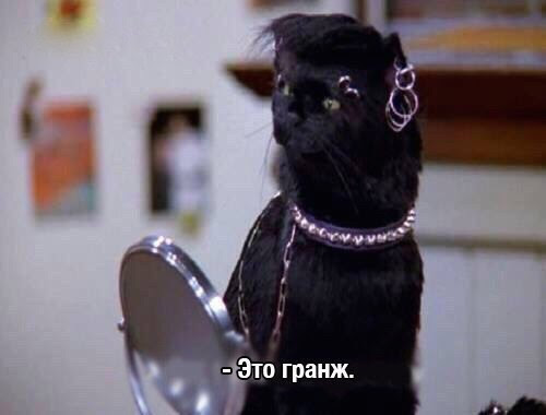https://upforme.ru/uploads/001b/8c/87/306/323860.jpg