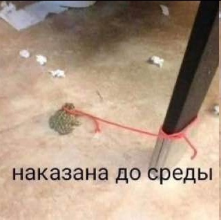 https://upforme.ru/uploads/001b/8c/87/306/742322.jpg