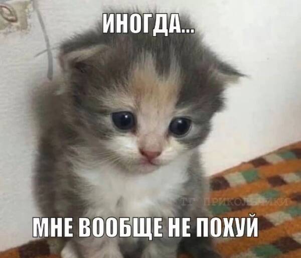https://upforme.ru/uploads/001b/8c/87/381/t304585.jpg
