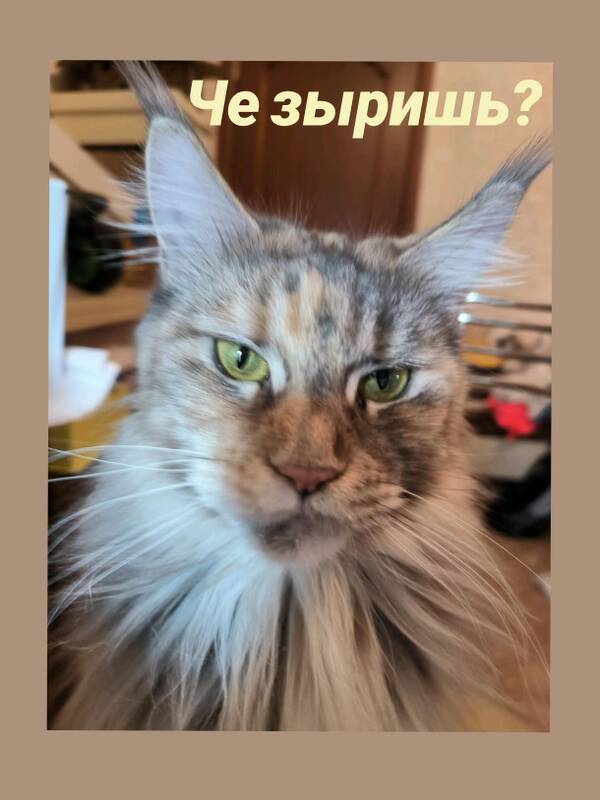 https://upforme.ru/uploads/001b/8c/87/381/t703315.jpg