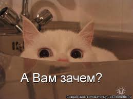 https://upforme.ru/uploads/001b/8c/87/381/t791255.jpg