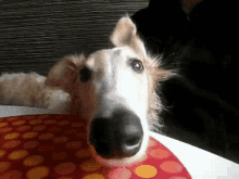 https://upforme.ru/uploads/001b/8c/87/433/717558.gif
