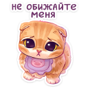https://upforme.ru/uploads/001b/8c/87/448/532174.png