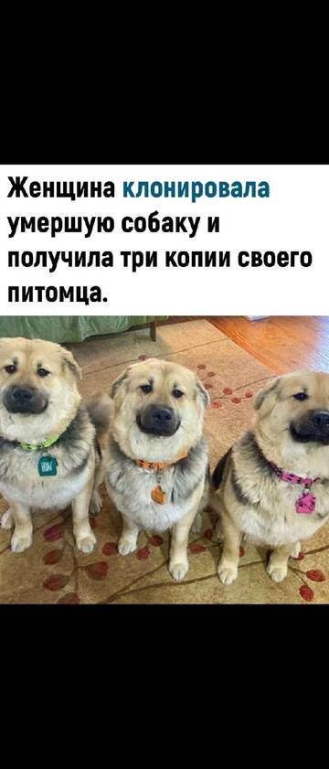https://upforme.ru/uploads/001b/8e/2e/2/t139441.jpg