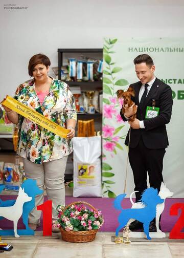 https://upforme.ru/uploads/001b/8e/2e/2/t170865.jpg