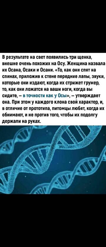 https://upforme.ru/uploads/001b/8e/2e/2/t350003.jpg