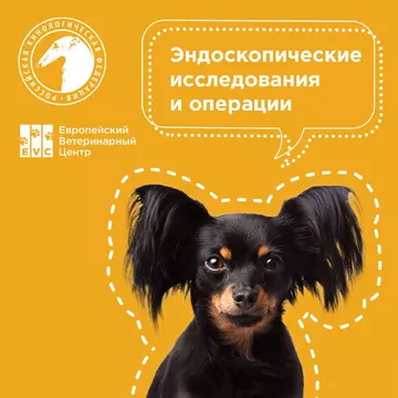 https://upforme.ru/uploads/001b/8e/2e/2/t398176.webp