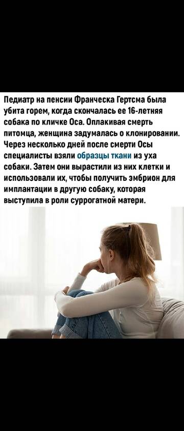 https://upforme.ru/uploads/001b/8e/2e/2/t469247.jpg