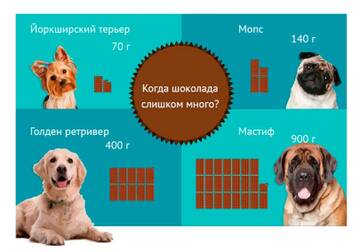 https://upforme.ru/uploads/001b/8e/2e/2/t561889.jpg