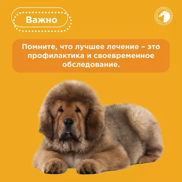 https://upforme.ru/uploads/001b/8e/2e/2/t571514.webp