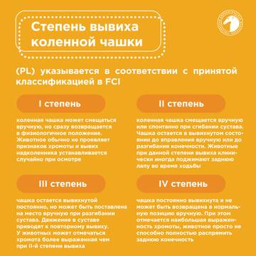 https://upforme.ru/uploads/001b/8e/2e/2/t605123.jpg