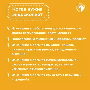 https://upforme.ru/uploads/001b/8e/2e/2/t616545.webp