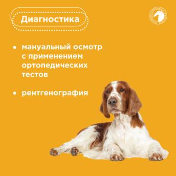 https://upforme.ru/uploads/001b/8e/2e/2/t661838.jpg