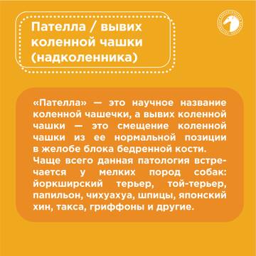 https://upforme.ru/uploads/001b/8e/2e/2/t742873.jpg