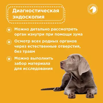 https://upforme.ru/uploads/001b/8e/2e/2/t765876.webp