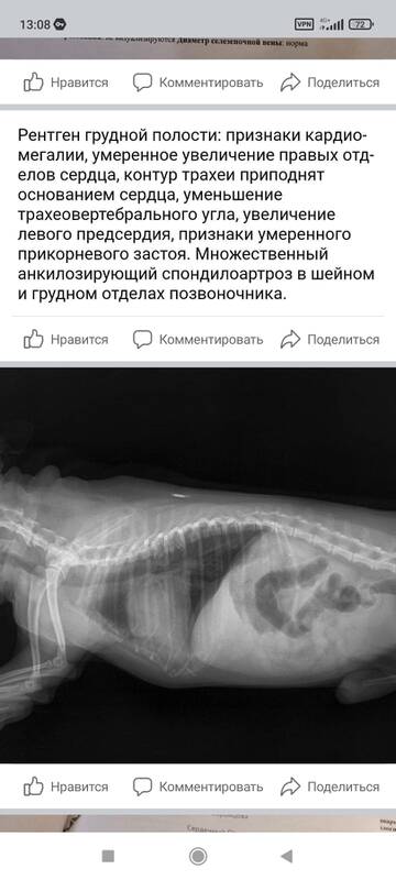 https://upforme.ru/uploads/001b/8e/2e/2/t781291.jpg
