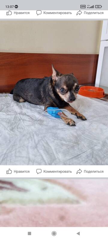https://upforme.ru/uploads/001b/8e/2e/2/t782942.jpg