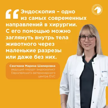 https://upforme.ru/uploads/001b/8e/2e/2/t783984.webp