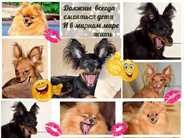 https://upforme.ru/uploads/001b/8e/2e/2/t864840.jpg