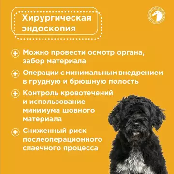 https://upforme.ru/uploads/001b/8e/2e/2/t95001.webp