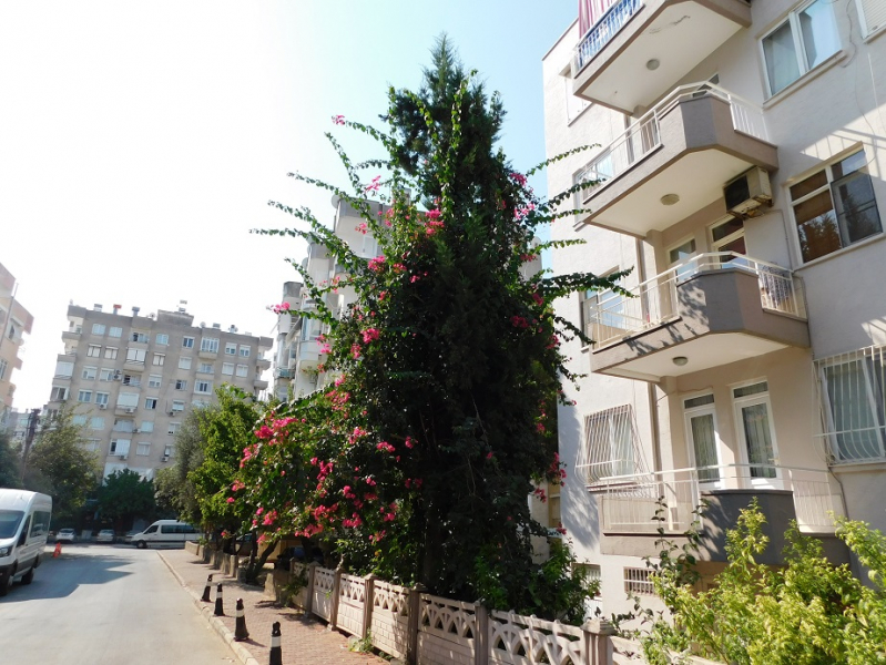 https://upforme.ru/uploads/001b/8e/7e/3/125474.jpg