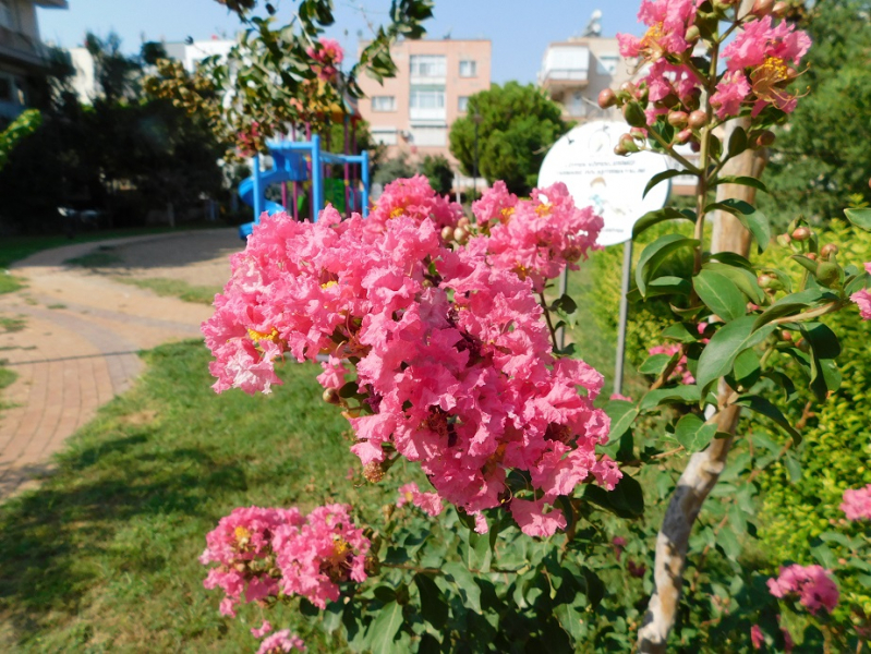 https://upforme.ru/uploads/001b/8e/7e/3/589306.jpg