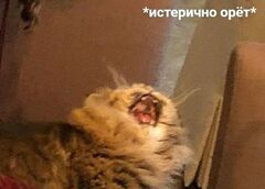 https://upforme.ru/uploads/001b/8e/ea/62/100381.jpg