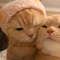 https://upforme.ru/uploads/001b/91/73/2/542868.png