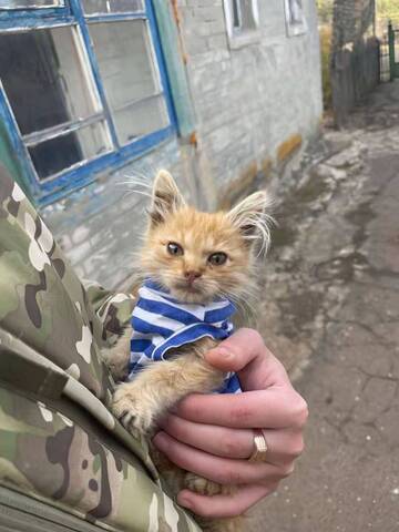 https://upforme.ru/uploads/001b/92/d8/1001/t632186.jpg