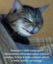 https://upforme.ru/uploads/001b/92/d8/1023/t302916.jpg