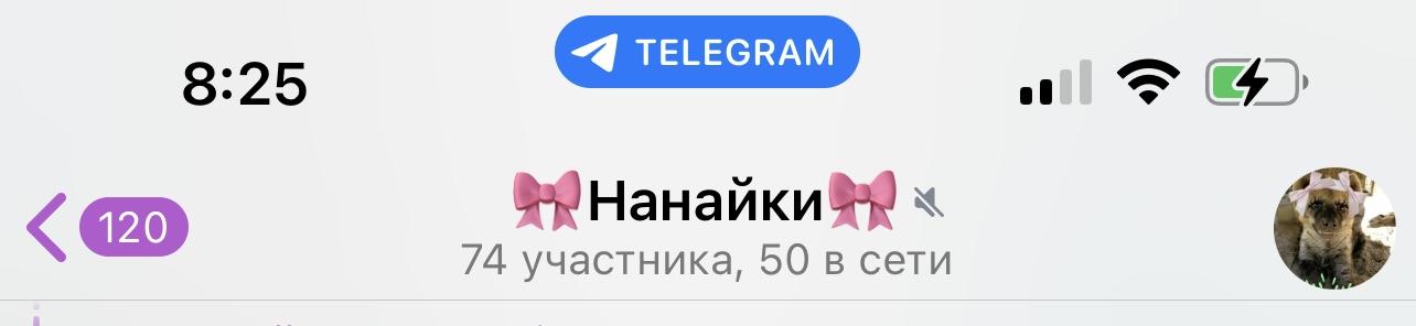 https://upforme.ru/uploads/001b/92/d8/1025/584452.jpg