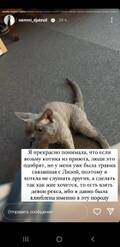 https://upforme.ru/uploads/001b/92/d8/1027/t131827.jpg